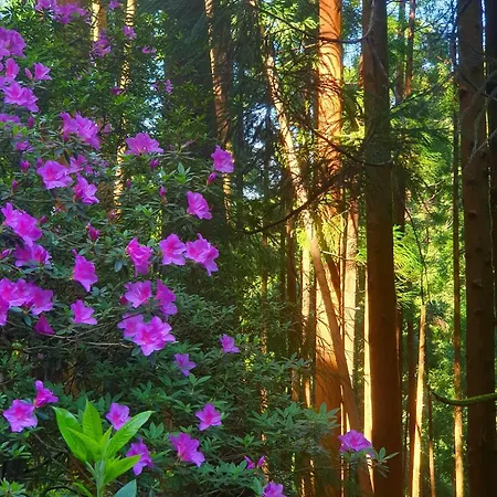 Appartement Azor International Ii Ponta Delgada