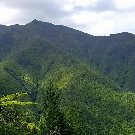 Appartement Azor International Ii *