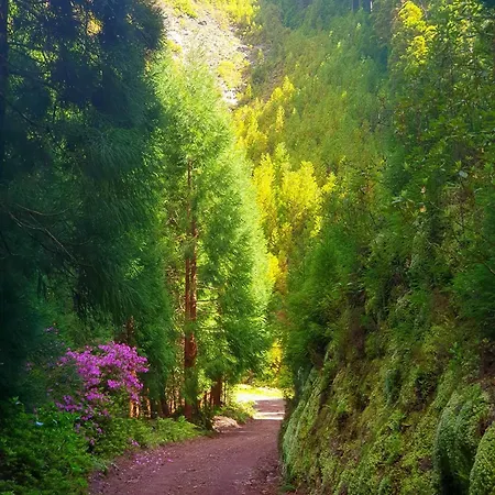 Azor International Ii Apartment