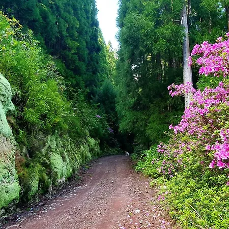 Azor International Ii * Ponta Delgada