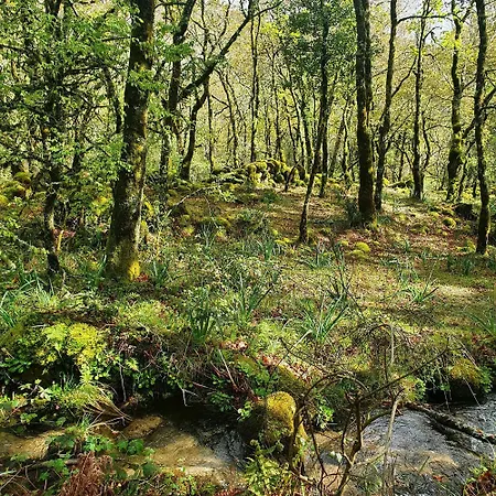 Azor International Ii * Ponta Delgada (Sao Miguel)