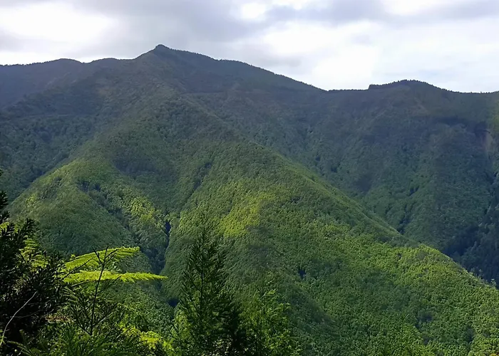 Apartment Azor International Ii *