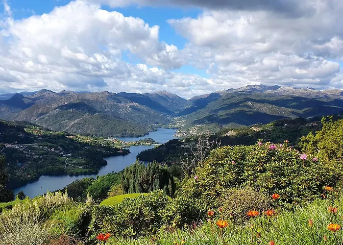 Azor International Ii