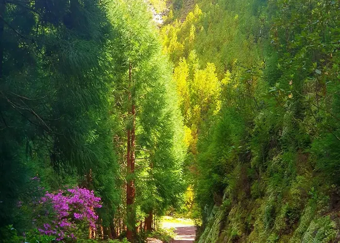 Azor International Ii Apartment